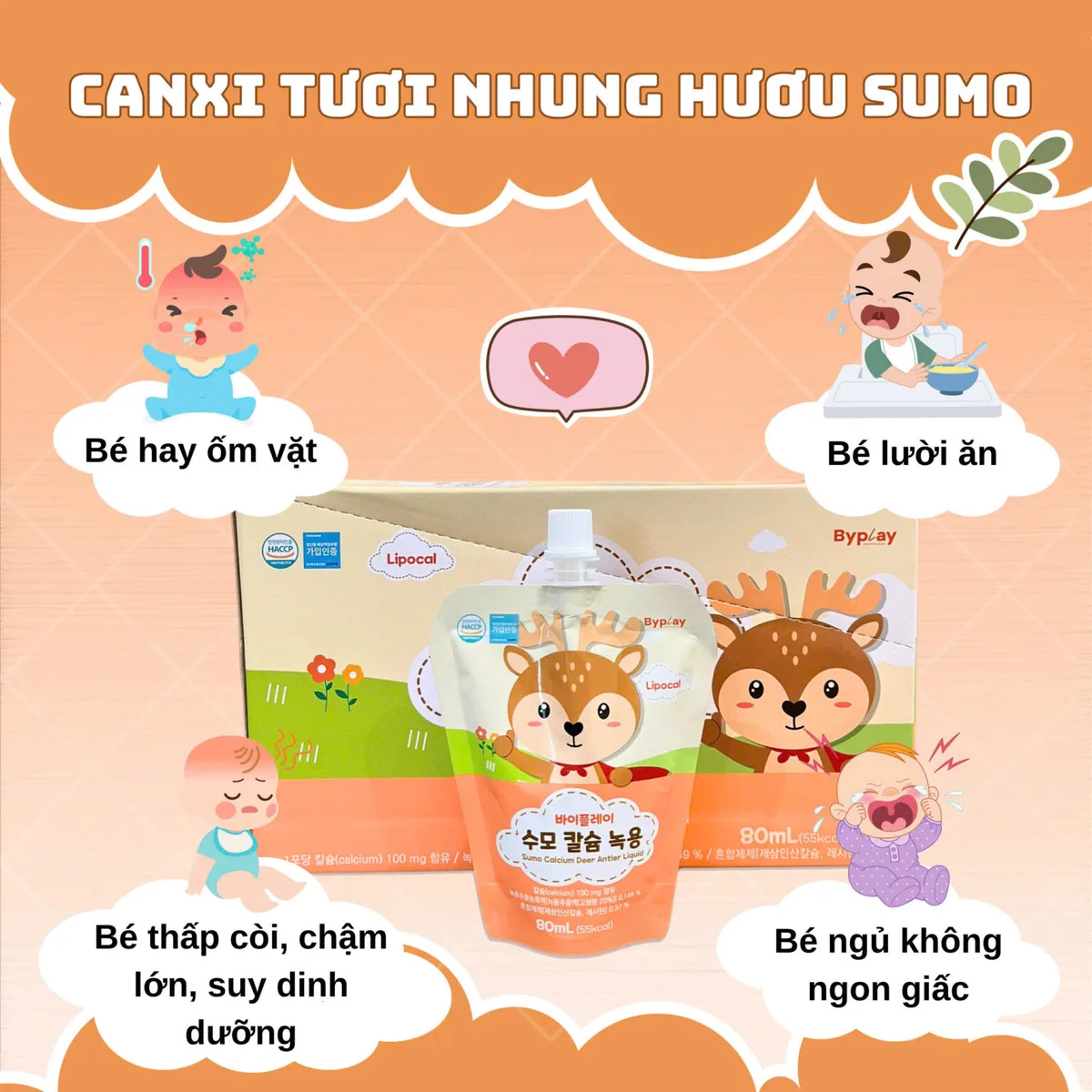 Canxi Tươi Nhung Hươu SUMO